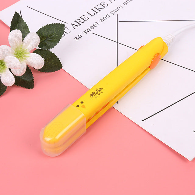 2 in 1 Mini Hair Straightener and Curling Iron
